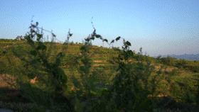 2020文都教育“溫度計劃”公益助學